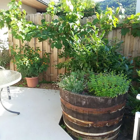 Apartment Weingut Ackermann *