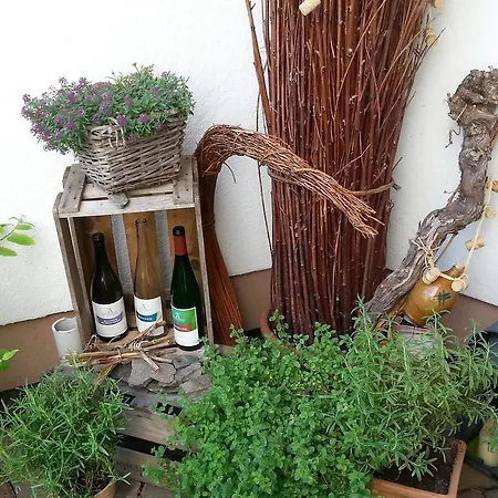 Weingut Ackermann