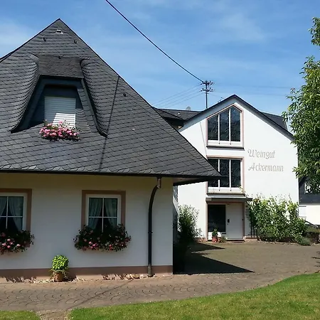 Apartment Weingut Ackermann Zeltingen-Rachtig