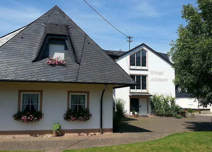 Lejlighed Weingut Ackermann Zeltingen-Rachtig